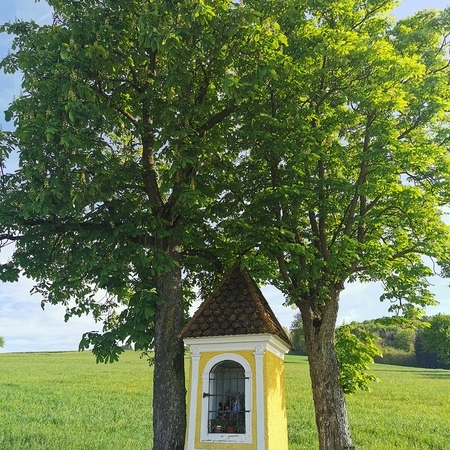 Vergleichsfoto 2023