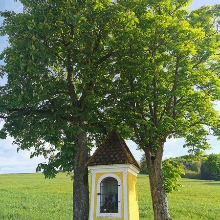 Rückblick 